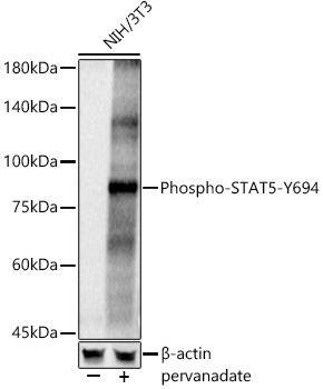 AP0887_1.jpg
