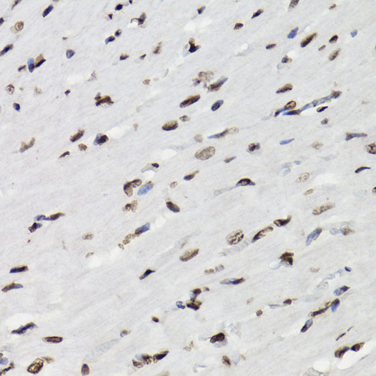 AP0887_2.jpg