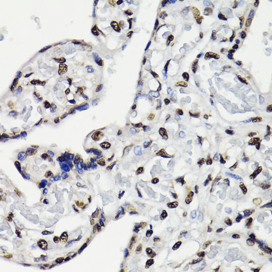 AP0887_3.jpg