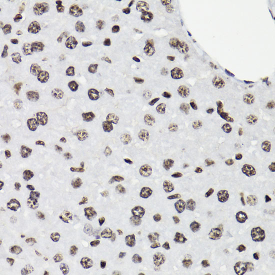 AP0887_4.jpg