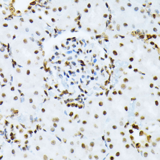 AP0913_2.jpg