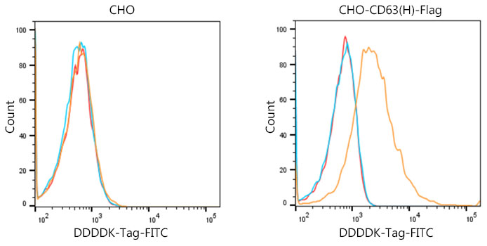 AS001_1.jpg