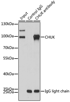 AS061_1.jpg
