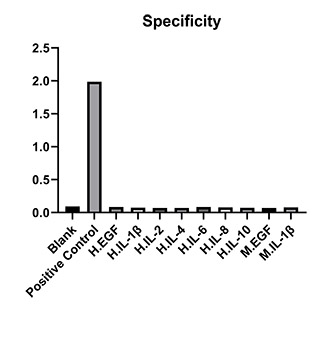 RM17949_2.jpg