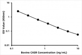 Bovine Extracellular calcium-sensing receptor (CASR) ELISA Kit (RK08264)