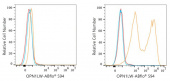 ABflo® 594 Rabbit anti-Human OPN1LW/OPN1MW mAb (A24372)