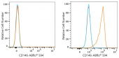 ABflo® 594 Rabbit anti-Mouse CD146 mAb (A24399)
