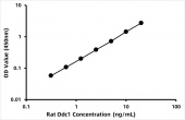 Rat Ornithine decarboxylase (Odc1) ELISA Kit (RK08005)