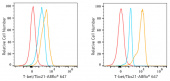 ABflo® 647 Rabbit anti-Human T-bet/Tbx21 mAb (A24573)