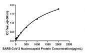 Rabbit anti-SARS-CoV-2 Nucleocapsid Protein mAb(CAP) (RM17618)