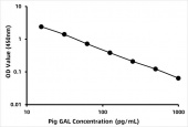 Pig Galanin peptides (GAL) ELISA Kit (RK07621)