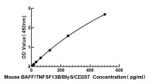 Mouse B-Cell Activating Factor ELISA Kit (BAFF/TNFSF13B/BlyS/CD257) (RK00413)