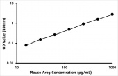 Mouse Amphiregulin (Areg) ELISA Kit (RK06024)