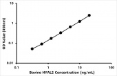 Bovine Hyaluronidase-2 (HYAL2) ELISA Kit (RK07700)