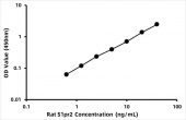 Rat Sphingosine 1-phosphate receptor 2 (S1pr2) ELISA Kit (RK06615)