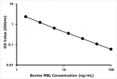 Bovine Mannose-binding protein C (MBL) ELISA Kit (RK08198)