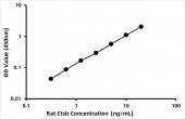 Rat Cathepsin B ELISA Kit (CTSB) (RK09277)