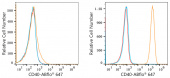 ABflo® 647 Rabbit anti-Human CD40 mAb (A22642)