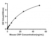 Mouse C-Reactive Protein (CRP) ELISA Kit (RK04303)
