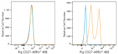 ABflo® 488 Rabbit anti-Pig CD27 mAb (A23101)