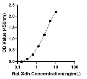 Rat Xanthine dehydrogenase/oxidase (Xdh) ELISA Kit (RK04304)