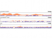 Acetyl-Histone H4-K5 Rabbit mAb (A23080)