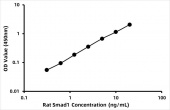 Rat Smad1 ELISA Kit (RK07113)