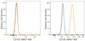 ABflo® 488 Rabbit anti-Human CD105/Endoglin mAb (A24318)