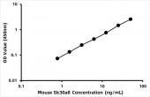 Mouse Zinc transporter 8 (Slc30a8) ELISA Kit (RK06605)