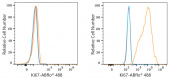 ABflo® 488 Rabbit anti-Human Ki67 mAb (A23407)