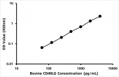 Bovine CD40 ligand (CD40LG) ELISA Kit (RK06241)