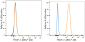 ABflo® 488 Rabbit anti-Human TROP-2 mAb (A24360)