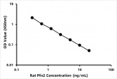 Rat Profilin-2 (Pfn2) ELISA Kit (RK06648)