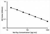 Rat Pyy / Peptide YYELISA Kit (RK09138)