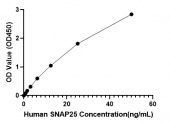Human  Synaptosomal-associated protein 25 (SNAP25) ELISA Kit (RK04244)