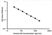 General Noradrenaline ELISA Kit (NE) (RK00694)
