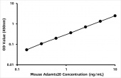 Mouse A disintegrin and metalloproteinase with thrombospondin motifs 20 (Adamts20)  ELISA Kit (RK08304)
