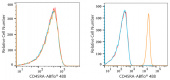 ABflo® 488 Rabbit anti-Human CD45RA mAb (A22569)