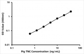 Pig Tenascin (TNC) ELISA Kit (RK08997)