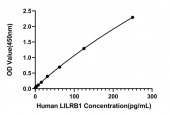 Rabbit anti-Human LILRB1 mAb (CAP) (RM17933)