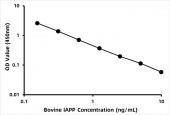 Bovine Islet amyloid polypeptide (IAPP) ELISA Kit (RK07305)