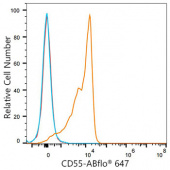 ABflo® 647 Rabbit anti-Human/Mouse CD55/DAF mAb (A23898)