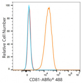 ABflo® 488 Rabbit anti-Mouse CD81 mAb (A23978)