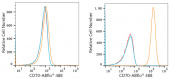 ABflo® 488 Rabbit anti-Human CD70 mAb (A22302)