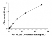Rat NLrp3 ELISA Kit (RK04262)