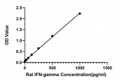 Rabbit anti-Rat IFN-gamma mAb (CAP) (RM17900)