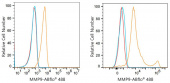 ABflo® 488 Rabbit anti-Human MMP9 mAb (A23732)
