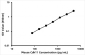 Mouse Cadherin-11 (Cdh11) ELISA Kit (RK07536)