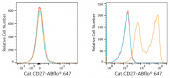 ABflo® 647 Rabbit anti-Cat CD27 mAb (A23172)