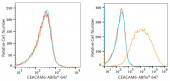 ABflo® 647 Rabbit anti-Human CEACAM6 mAb (A22188)